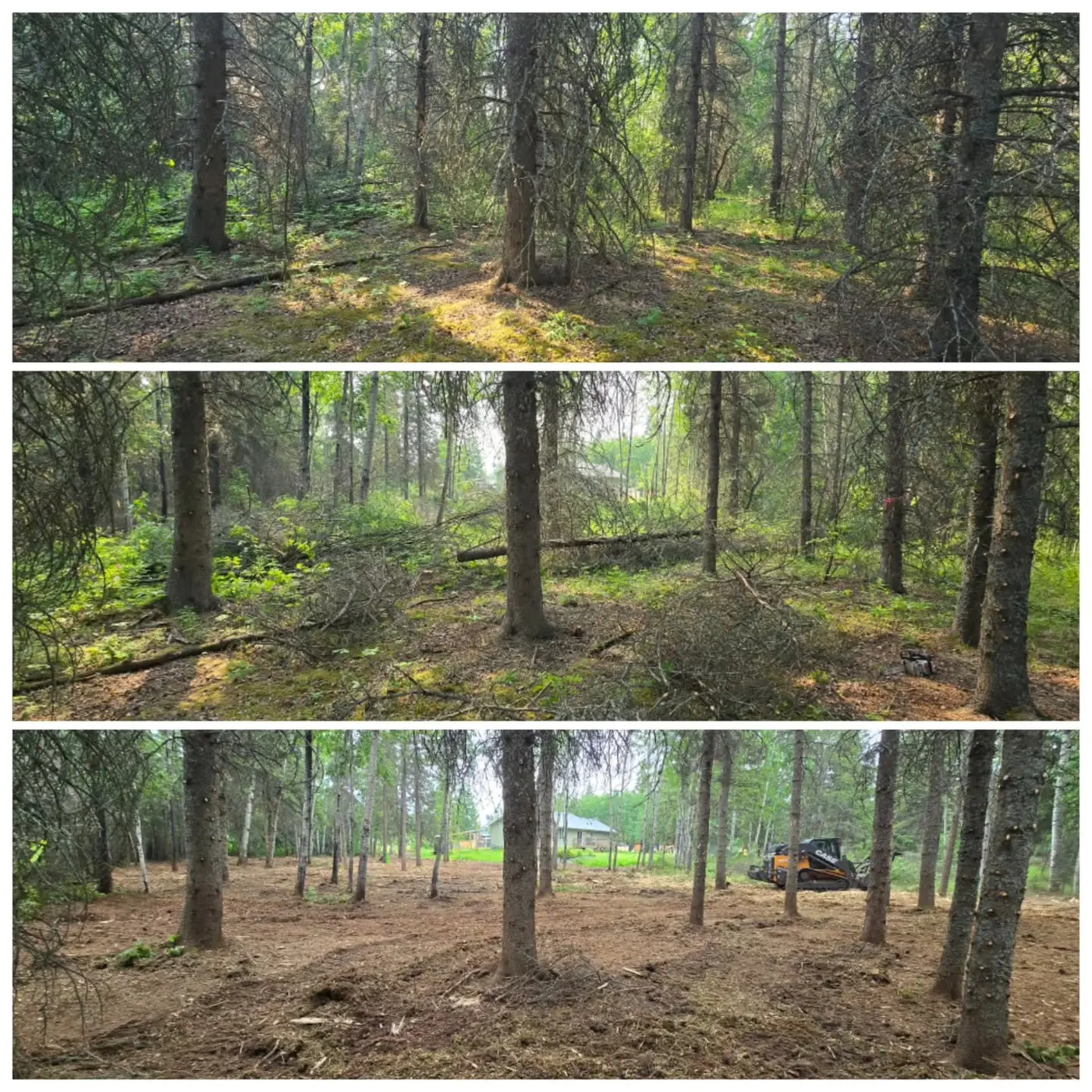 Wooded Alberta property before, during and after wildfire fuel-reduction work